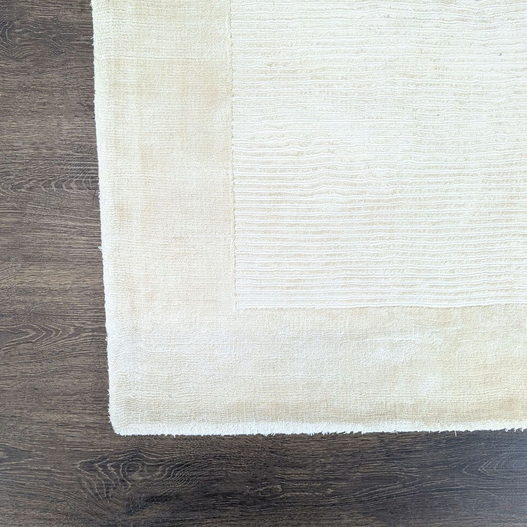 West Elm Tencel Neutral Beige Area Rug - Modern Minimalist Design