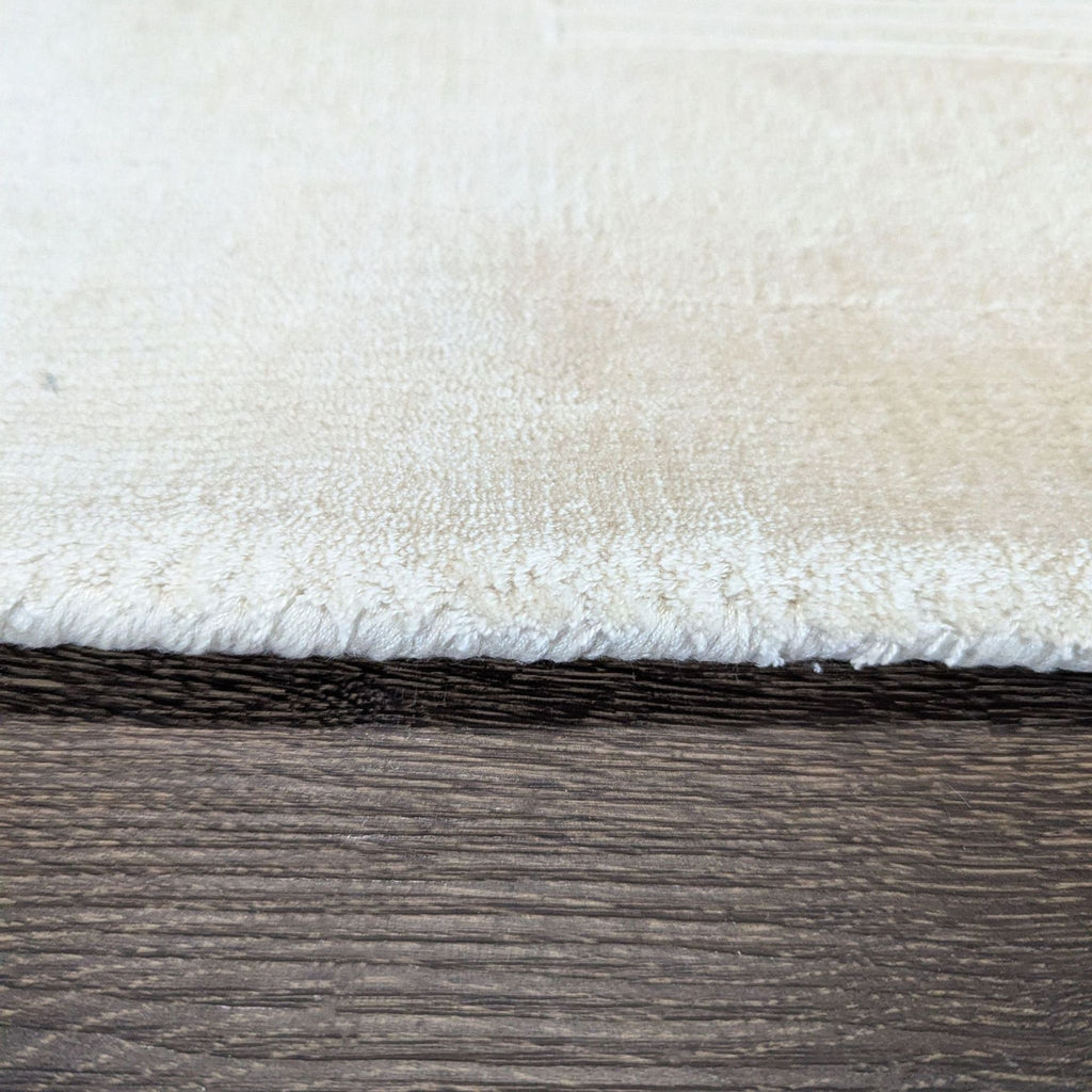 West Elm Tencel Neutral Beige Area Rug - Modern Minimalist Design