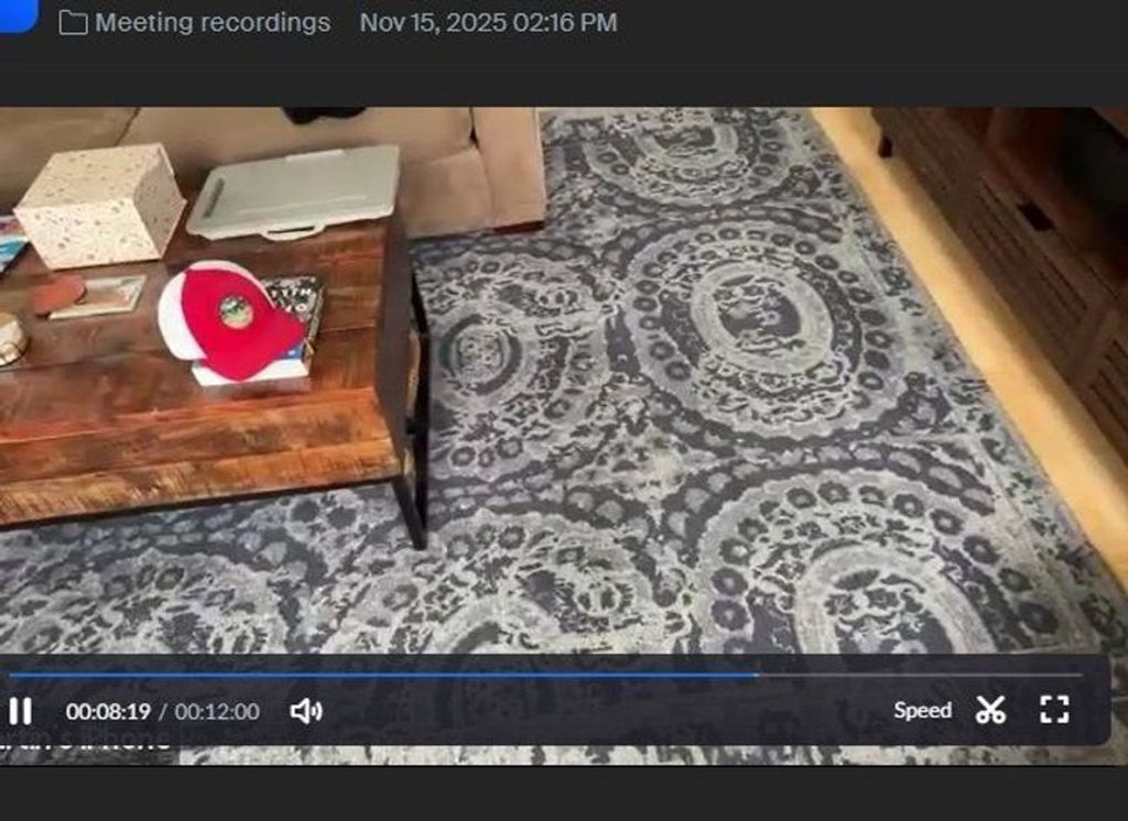 1. Crate and Barrel rug with intricate blue and grey circular patterns beneath a coffee table in a living room setting.  