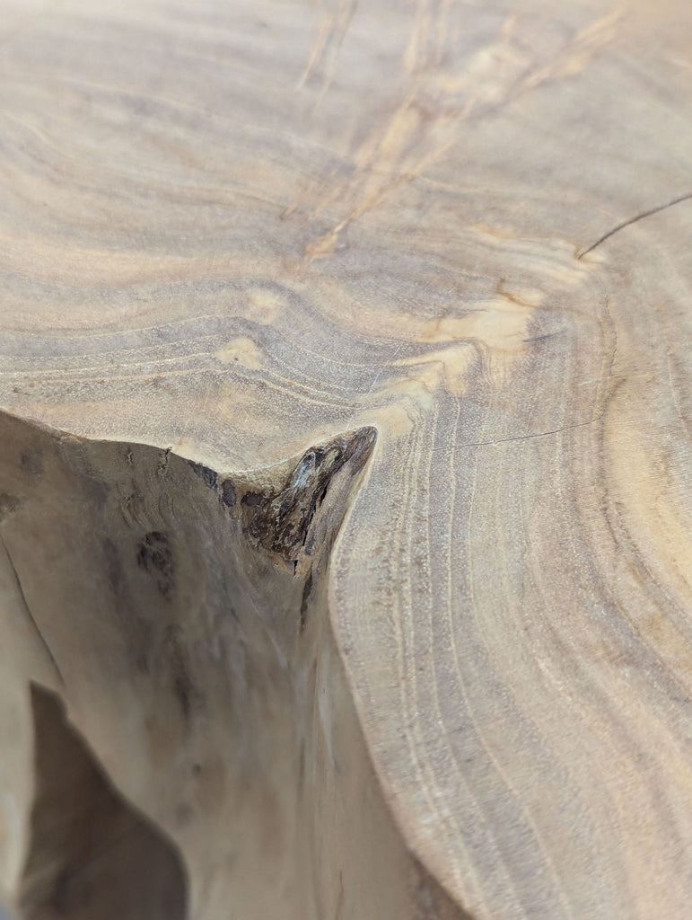 Wood Stump Side Table