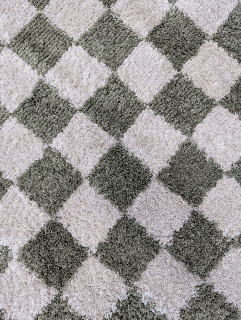 5'2" x 7' Fossay Checkerboard Rug ($200)