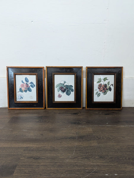 1. Set of three framed botanical fruit prints in black and wood frames, displayed on a dark wood floor.