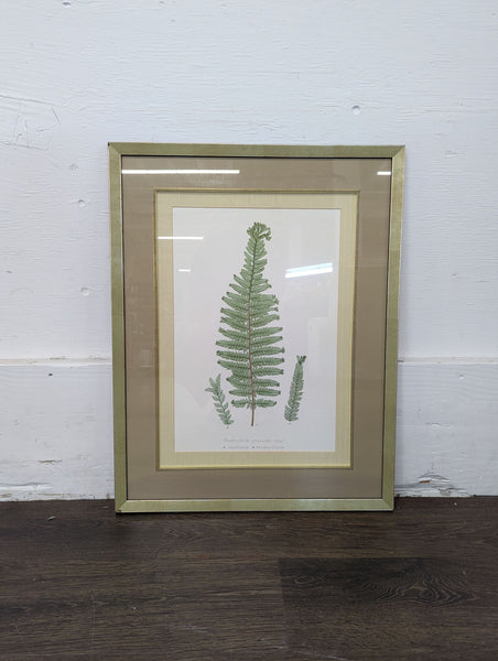1. Framed botanical illustration of fern leaves with a beige mat and gold-trimmed frame, placed on a dark floor.