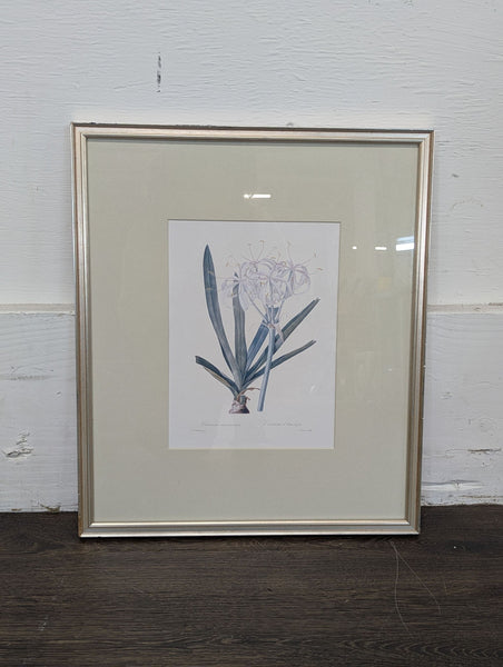 1. Framed botanical print of a white flowering plant with long green leaves, displayed with a beige mat.