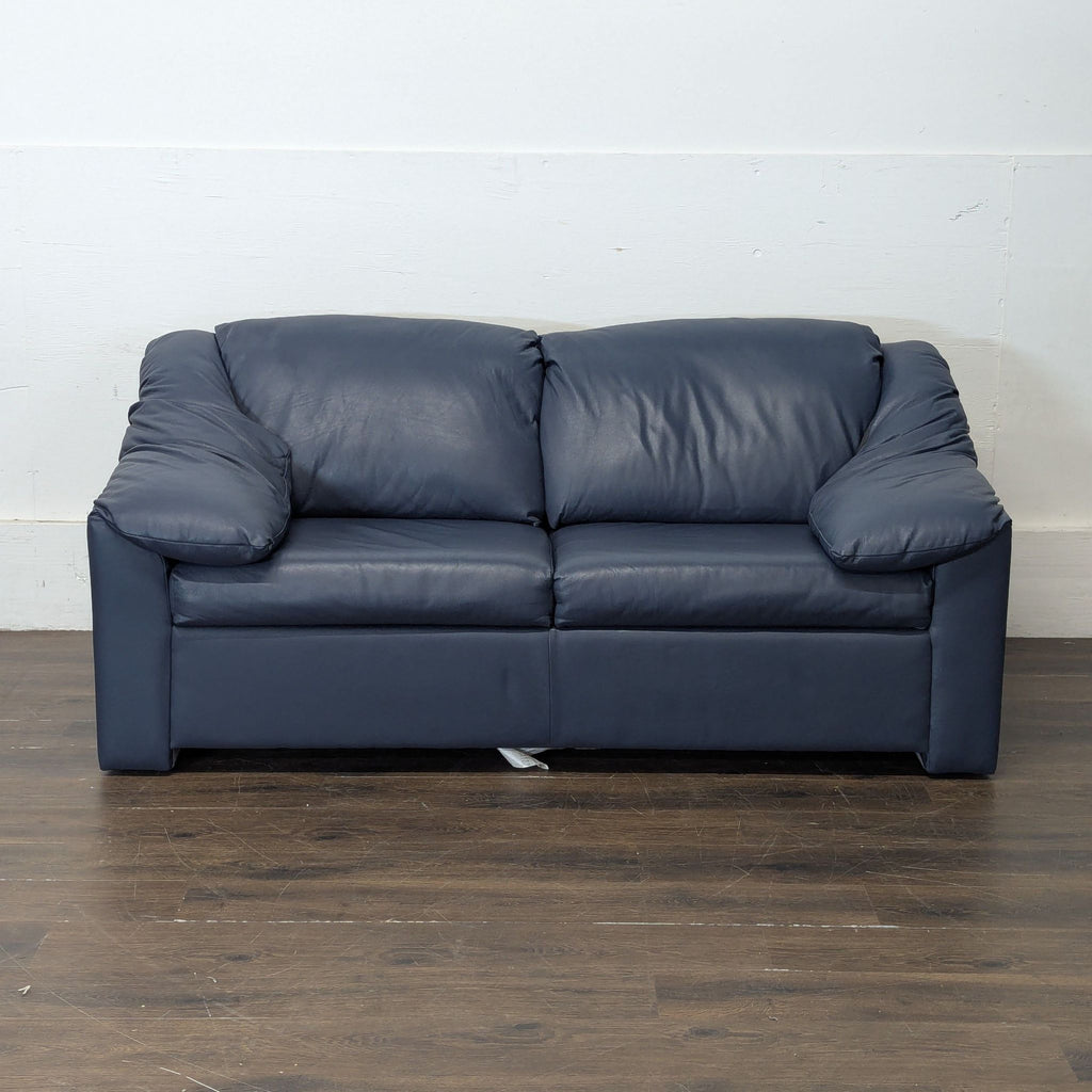 1. Modern Krause's sleeper sofa with plush cushions and a convertible bed feature in a bright living room.