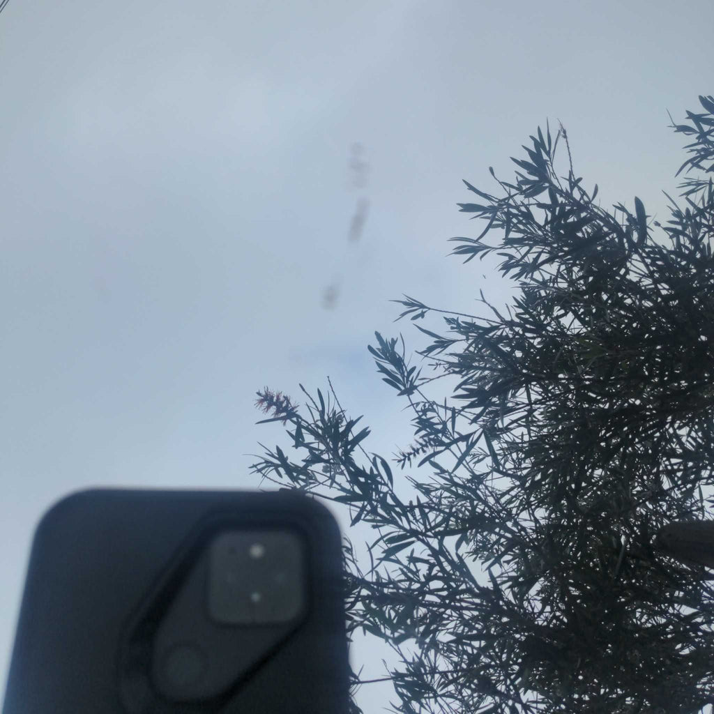 2. Close-up photo of the Reperch console table’s mirrored glass reflecting tree branches and a phone.