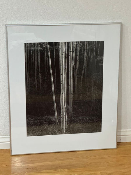 Framed print of Ansel Adams' "Aspens," with white aspen trunks against a dark forest, in silver frame.