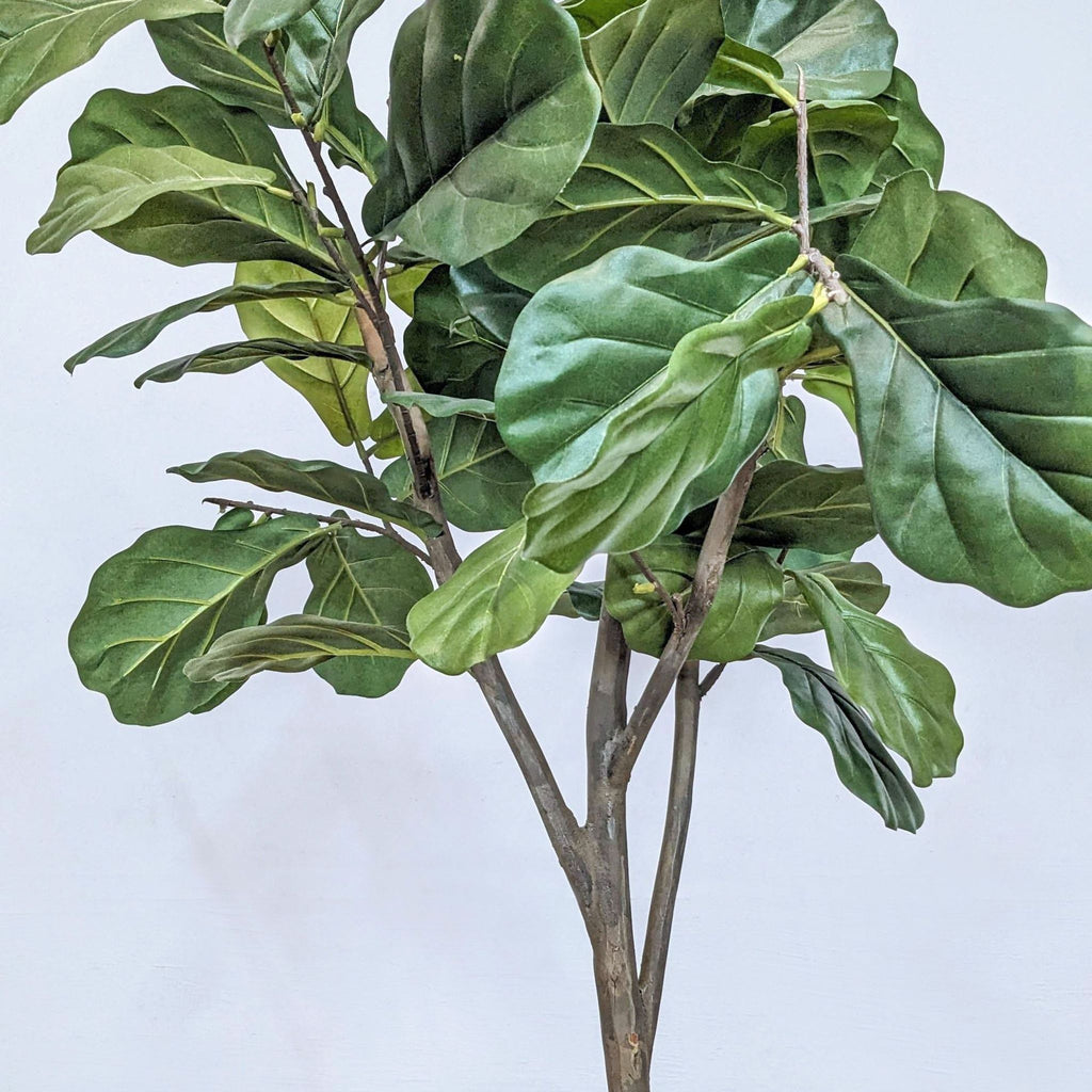 Close-up view of a Faux Fiddle Leaf Fig showing detailed green leaves, part of Reperch's 6’ replica indoor tree collection.