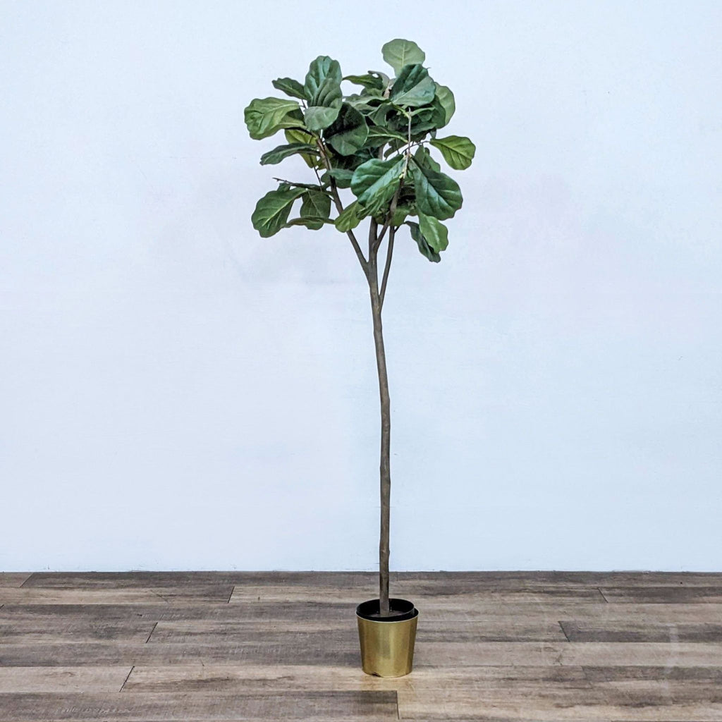 Artificial 6’ Fiddle Leaf Fig Tree displayed in a brass-finish pot, positioned on a wooden floor against a white background.