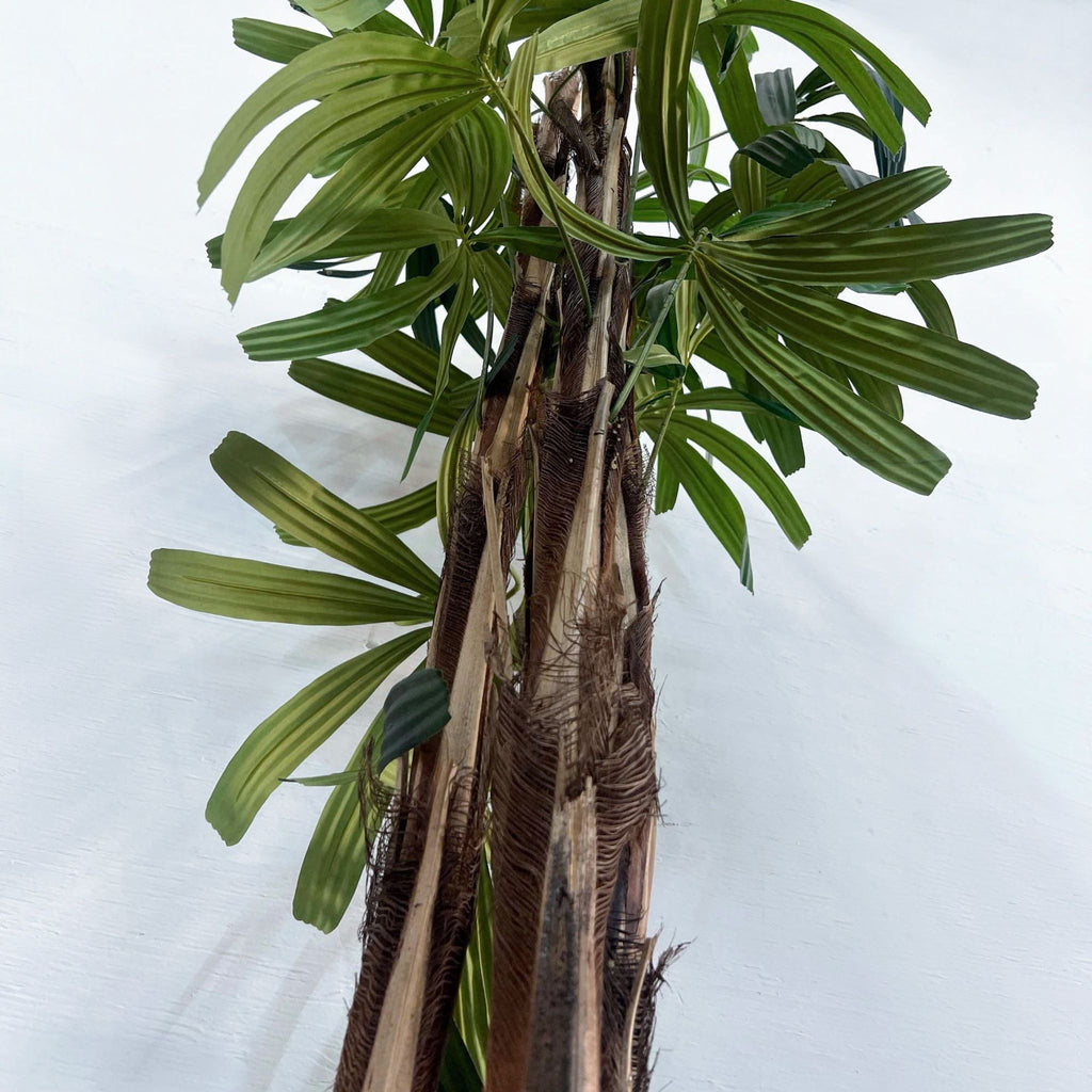 Alt text: Artificial potted Raphis Palm tree by Reperch, approximately 4 feet tall, with detailed stems and green leaves.