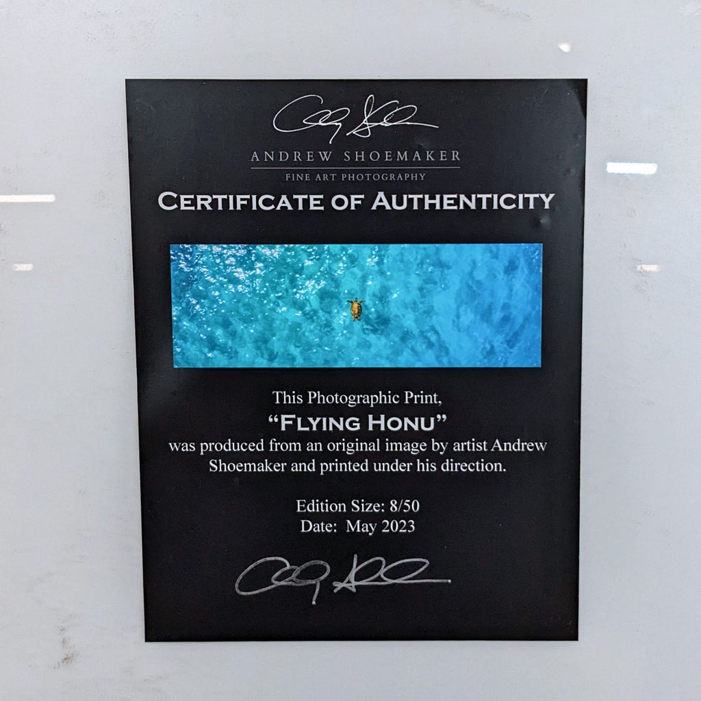 Alt text 2: Black certificate of authenticity for "Flying Honu" photographic print, signed by artist Andrew Shoemaker, showing edition number 8 of 50.