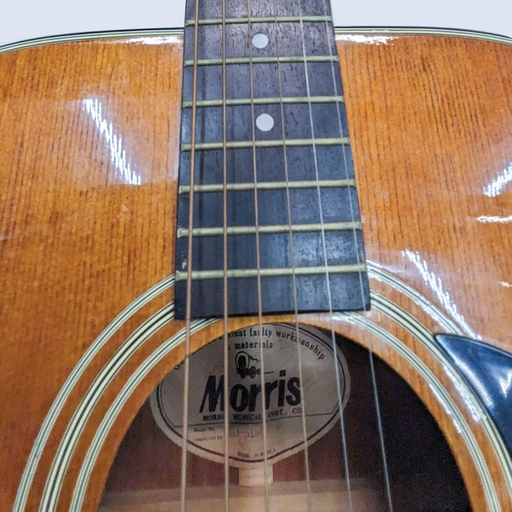 Morris Vintage Acoustic Guitar MD-51M